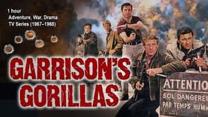 Garrison's Gorillas — foto 2