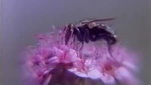 やわらかい肌 — foto 4