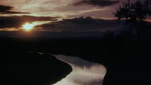 Mogambo — foto 9