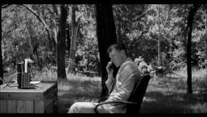 Vocation — foto 1