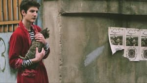 Cat — foto 2