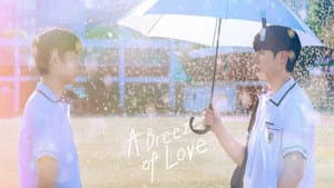 일기예보적 연애 — foto 3