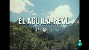 Episodio 26