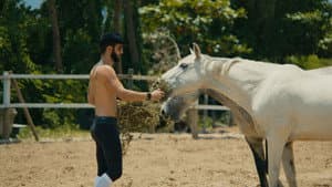 O Cavalo de Pedro — foto 8
