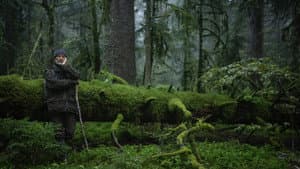 Le Chant des forêts — foto 12