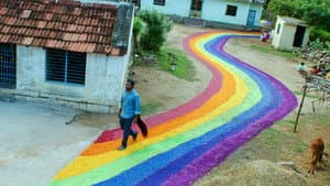 குதிரைவால் — foto 5
