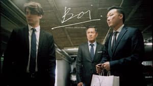 Boi — foto 1