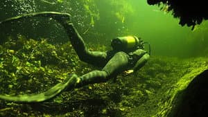Underwater Okavango — foto 1