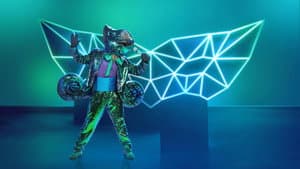 The Masked Singer — foto 6
