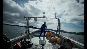 The Diver — foto 3