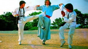 Twins of Kung Fu — foto 1