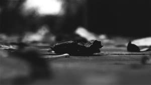The pulse of everything from where we arose and departed — foto 2