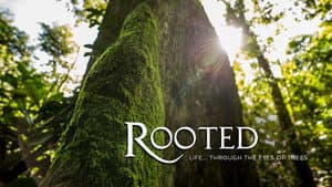 Rooted — foto 1