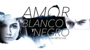 Amor en blanco y negro — foto 10