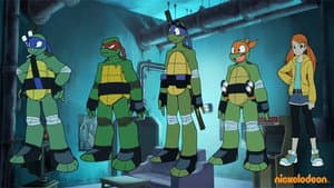 Turtles Take Time (and Space) — foto 3