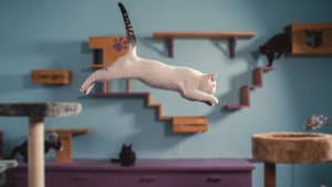 En la mente de un gato — foto 3