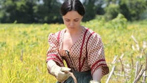 War Flowers — foto 3