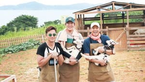 삼시세끼 어촌편 — foto 2