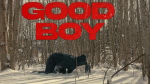 Good Boy — foto 8