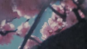 Triste — foto 2