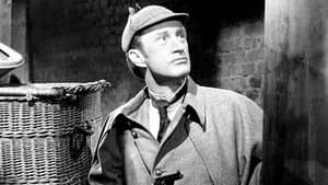 Sherlock Holmes — foto 1