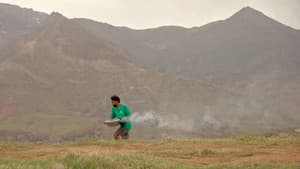 درون امیر — foto 11
