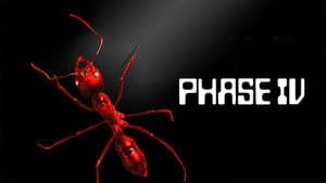 Phase IV — foto 9