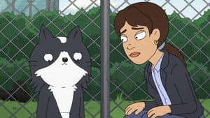 Episodio 8