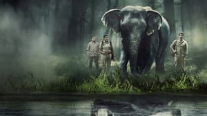 Poacher — foto 3