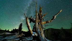Planet California — foto 1