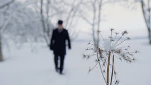 Forteljingar om mot — foto 1