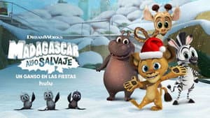 Madagascar: Algo salvaje un Ganso en las fiestas — foto 4