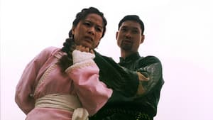 天下無敵掌門人 — foto 1