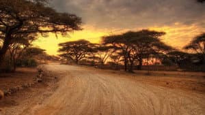 Free at Last. Unresolved Stories of Apartheid — foto 7