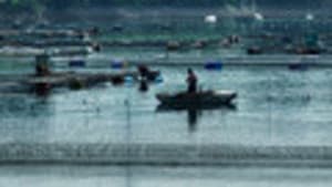 Episodio 69