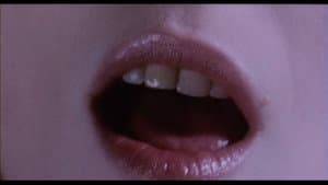 Belle de Nature — foto 10