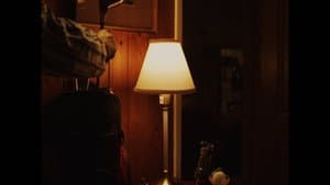 Hot Tin Roof — foto 1