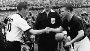 Fußball Weltmeisterschaft 1954 — foto 2