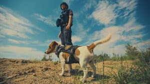 Ми, наші улюбленці та війна — foto 2
