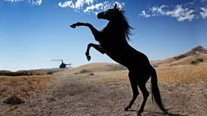 Wild Horses — foto 1