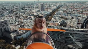 Akiko, der fliegende Affe — foto 2