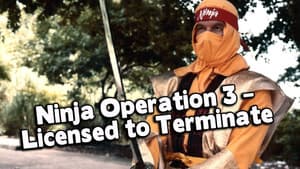 Ninja Operation 3: Licensed to Terminate — foto 4