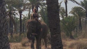 Les amazones du temple d'or — foto 3