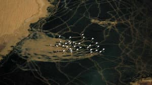 L'Algérie Vue Du Ciel — foto 10