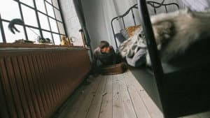 Lokal zamknięty — foto 5