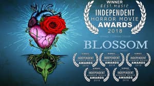 Blossom — foto 1
