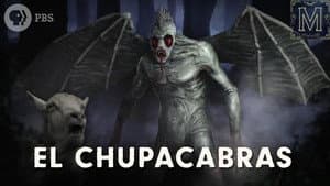 Episodio 8