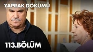 Episodio 113