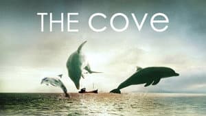 The Cove — foto 8