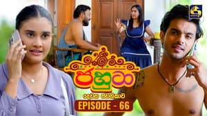 Episodio 66